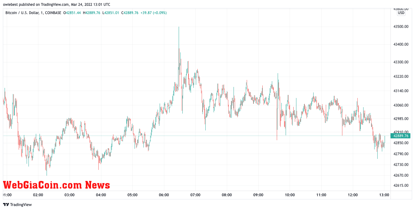 Bitcoin price chart from TradingView.com