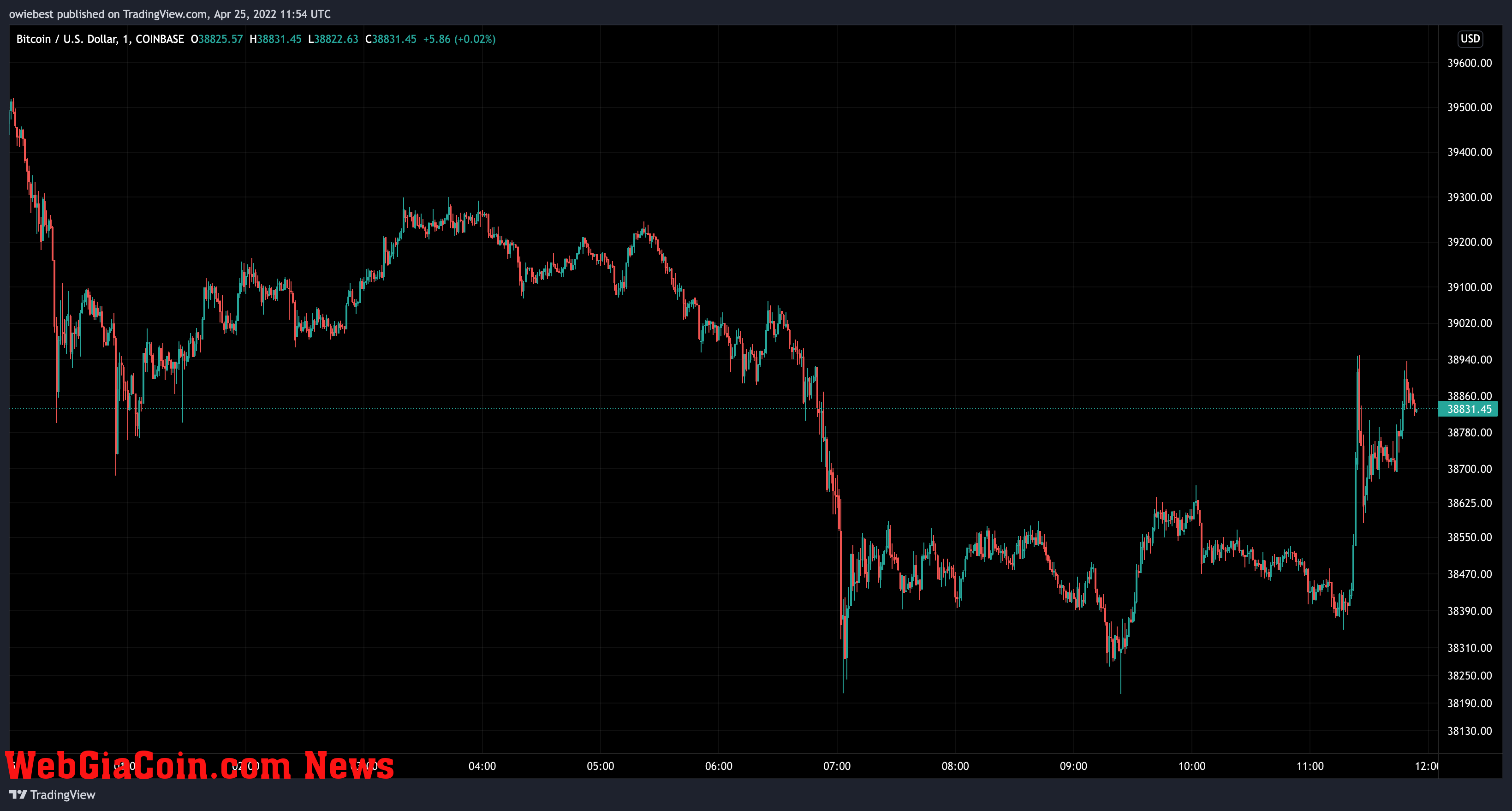 Bitcoin price chart from TradingView.com