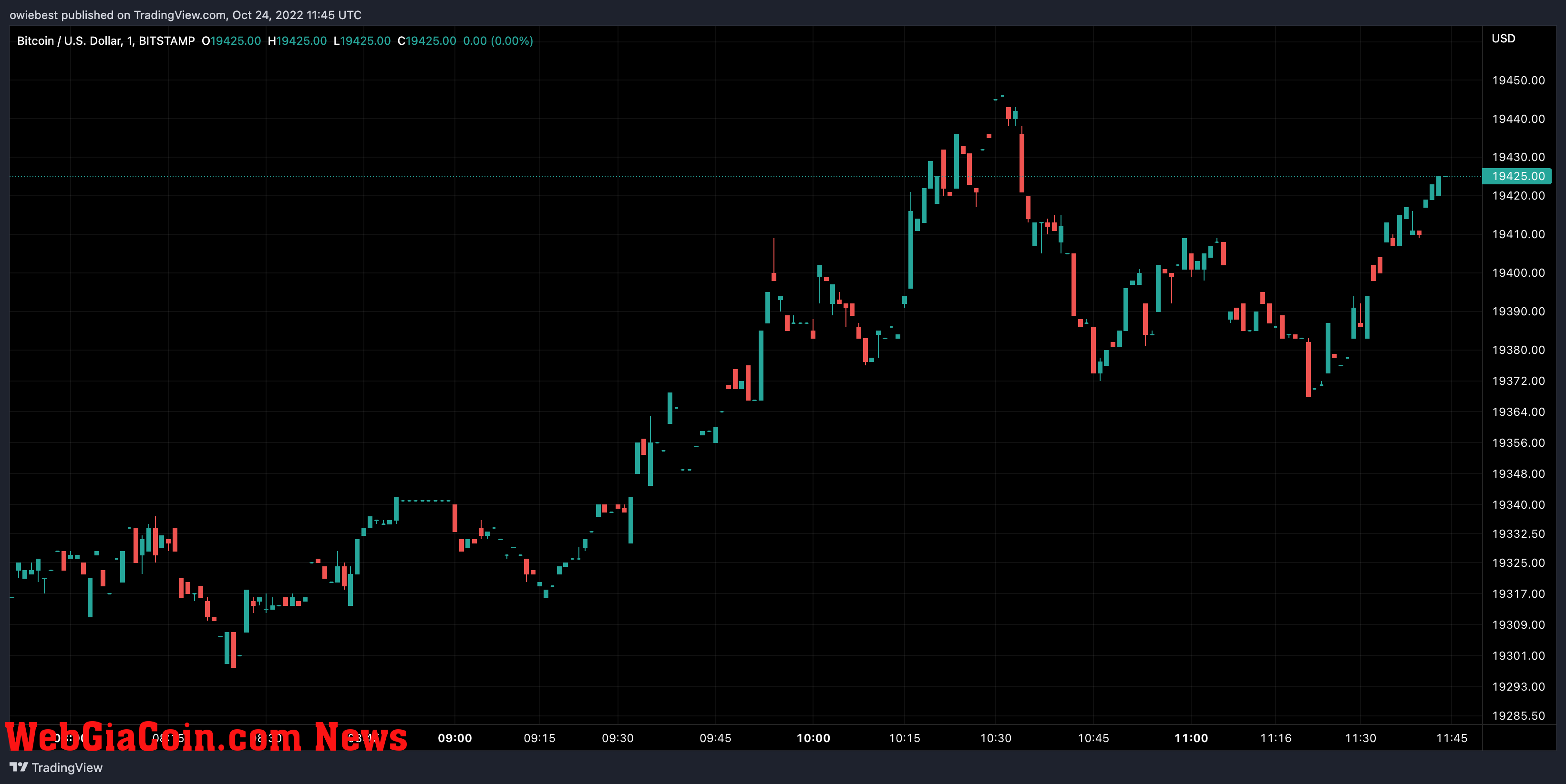 Bitcoin price chart from TradingView.com