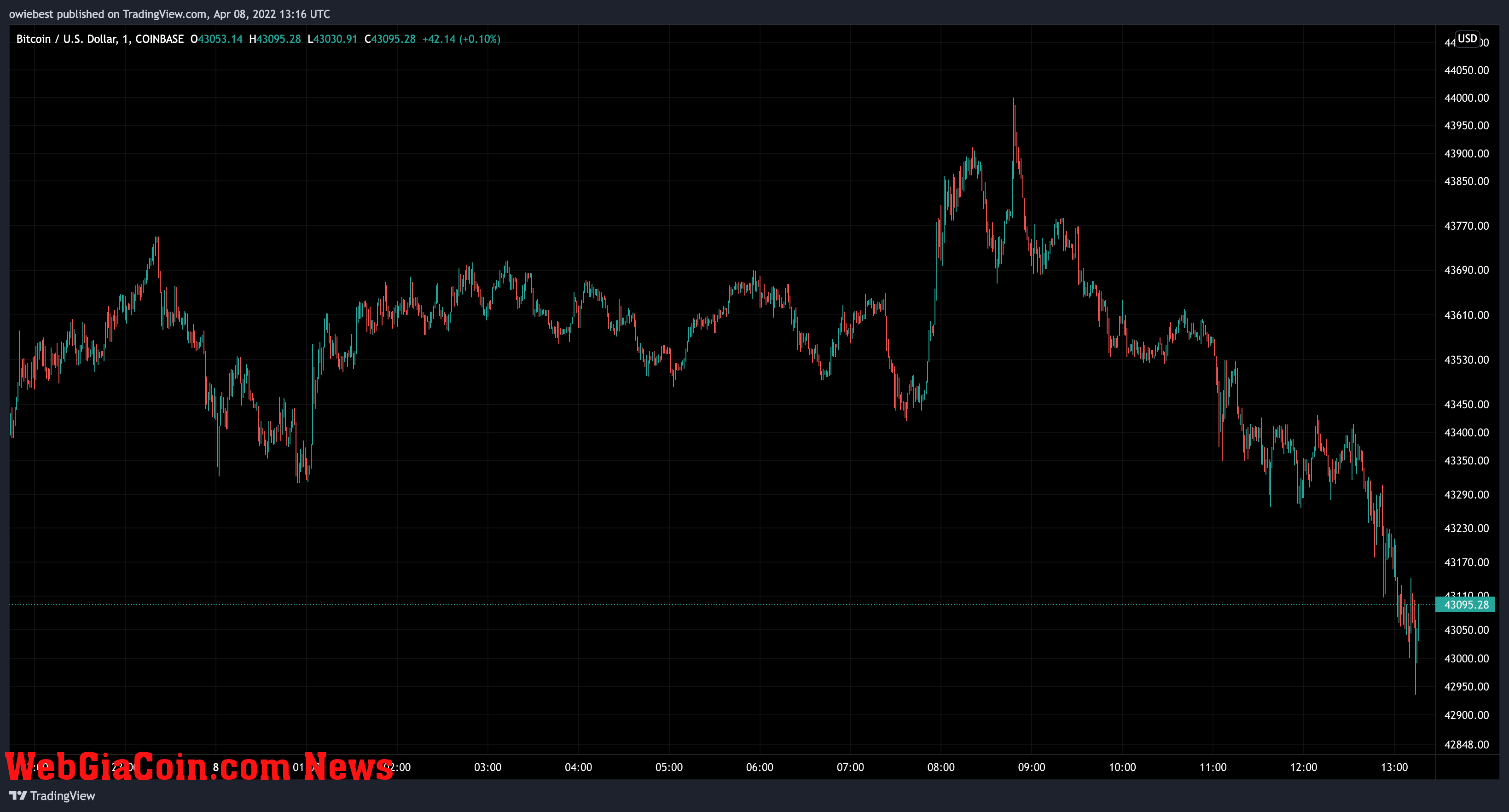 Bitcoin price chart from TradingView.com