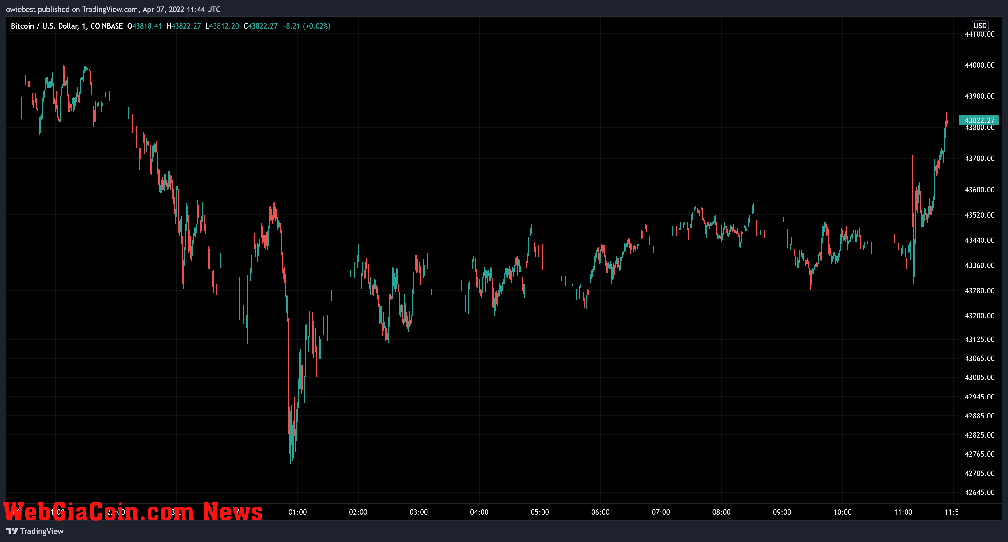 Bitcoin price chart from TradingView.com