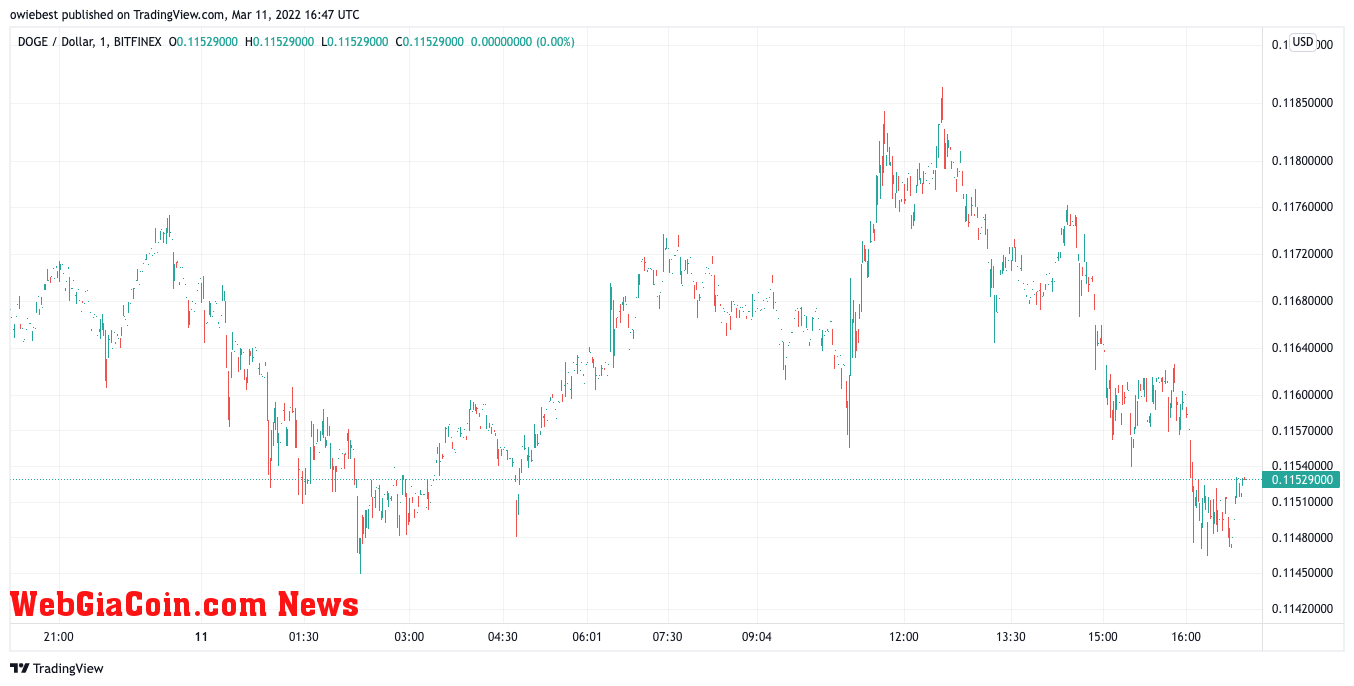 Dogecoin price chart from TradingView.com