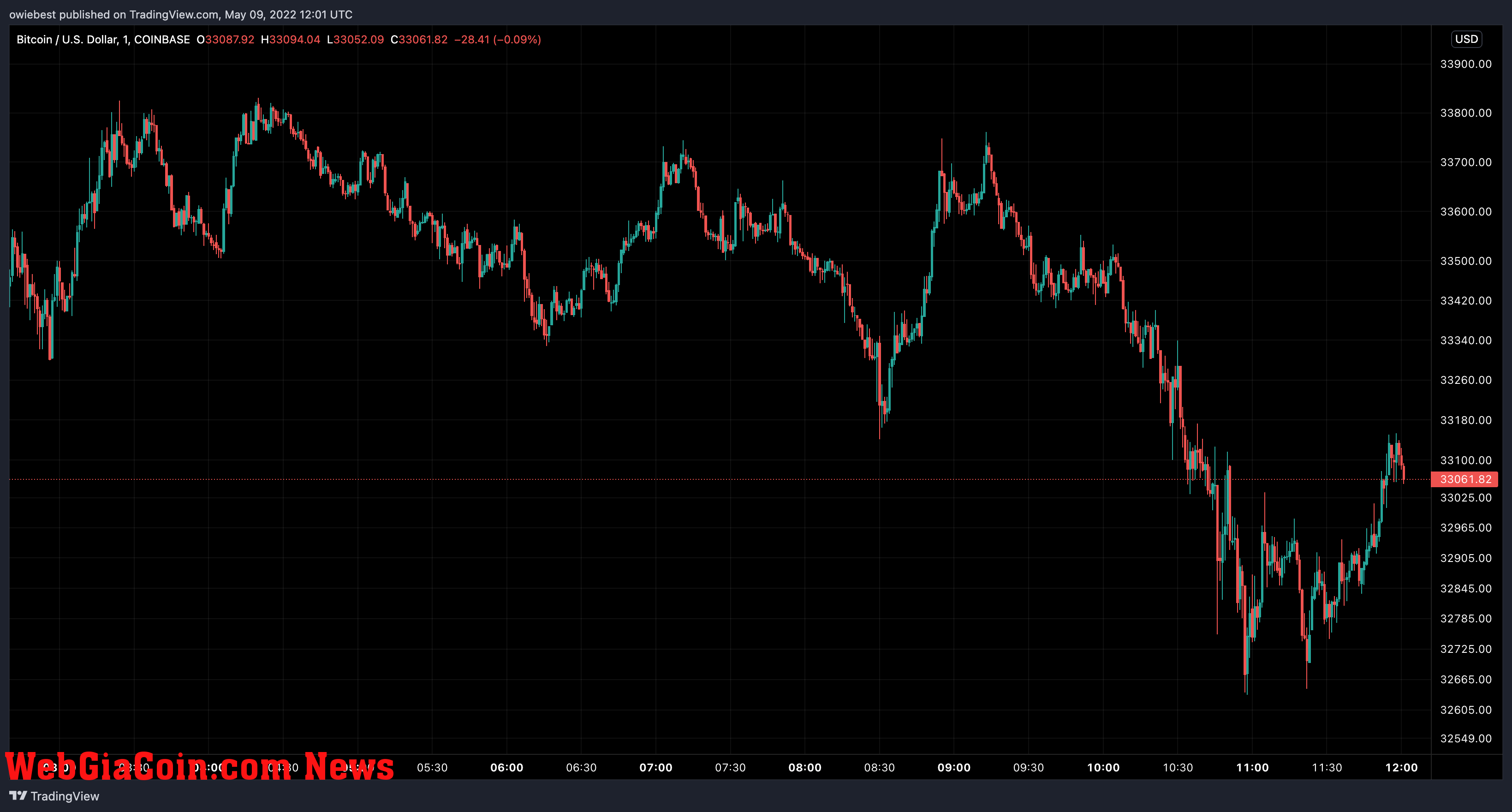 Bitcoin price chart from TradingView.com