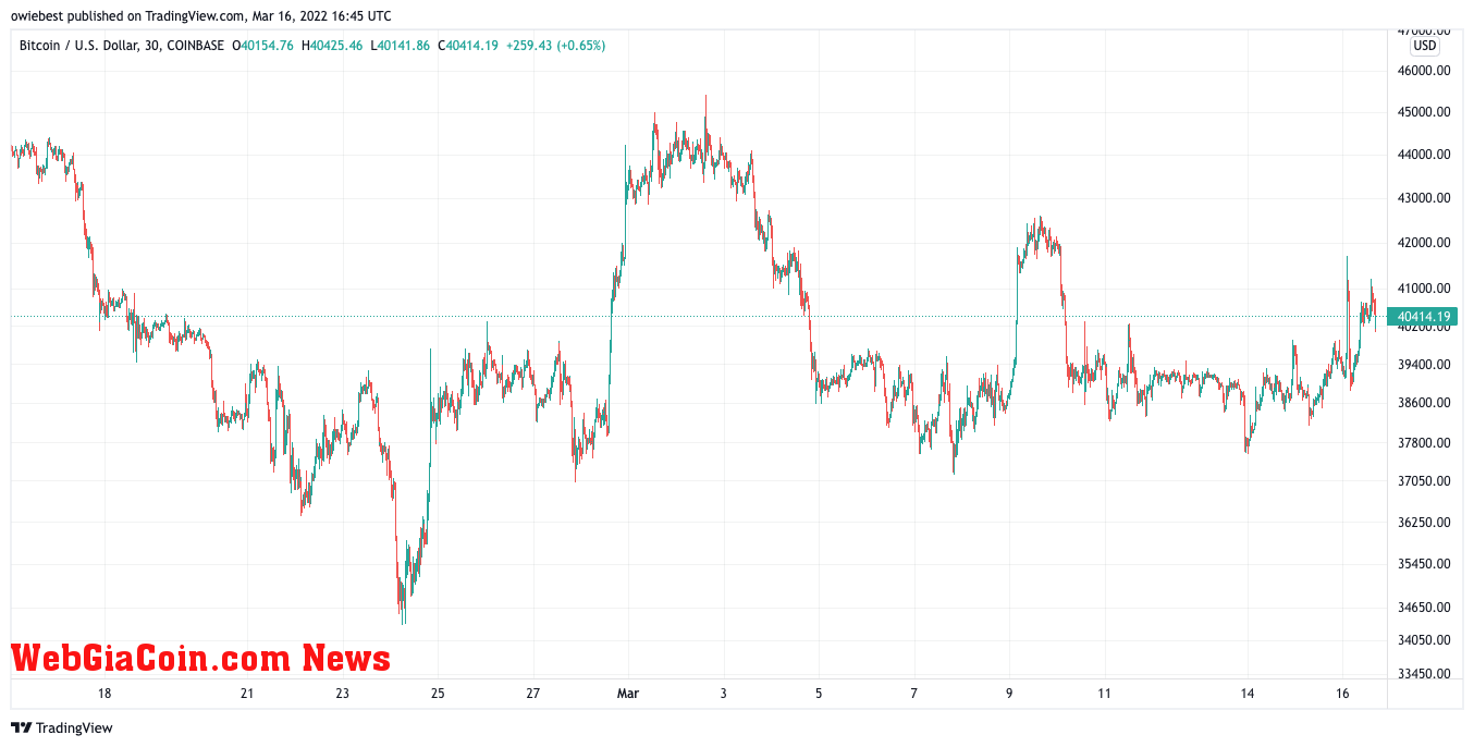 Bitcoin price chart from TradingView.com