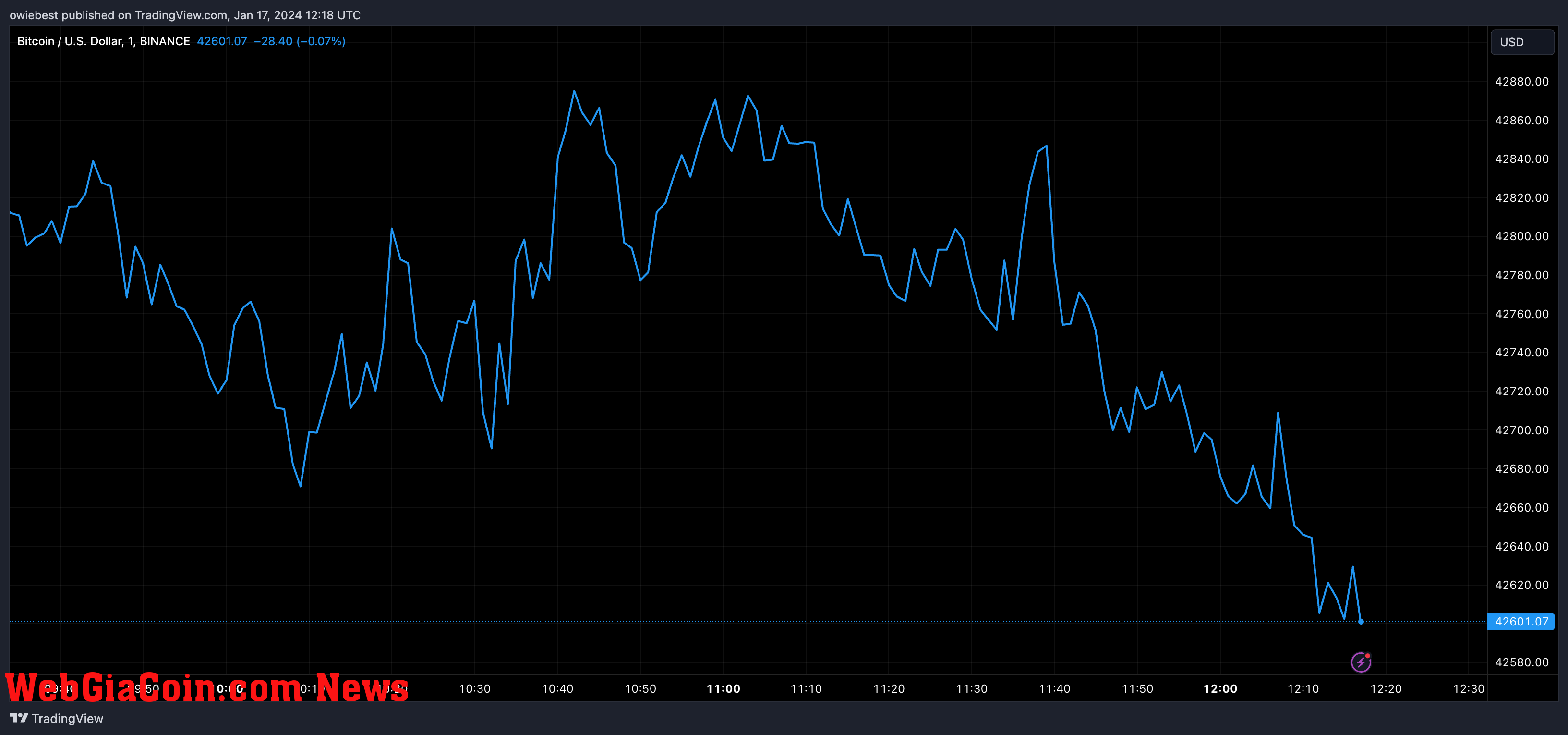 Bitcoin price chart from Tradingview.com (Grayscale Spot Bitcoin ETF)