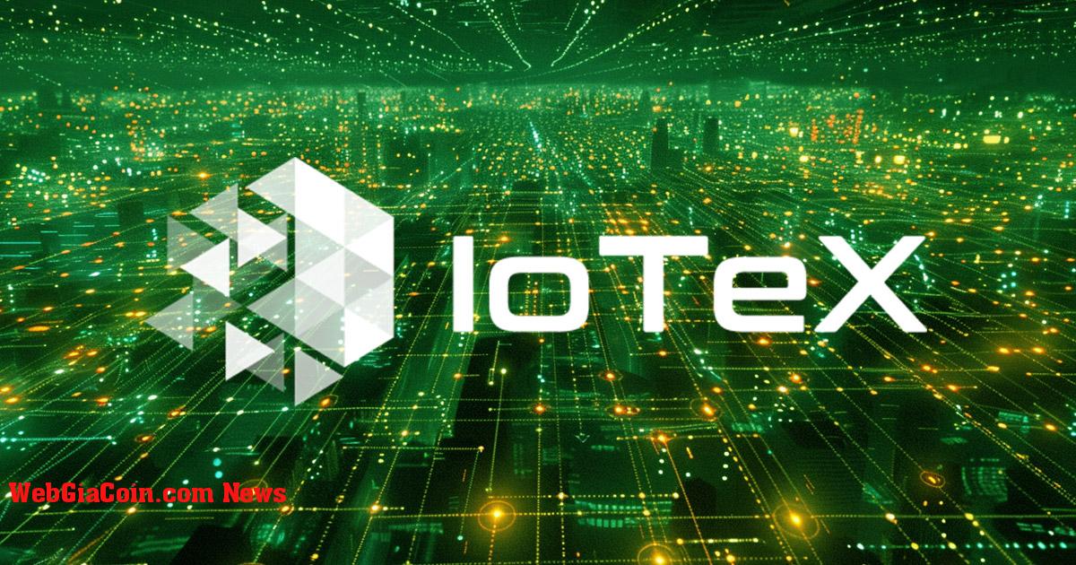IoTeX đảm bảo khoản đầu tư 50 triệu USD mở rộng tường thuật dePIN cho chu kỳ tiếp theo