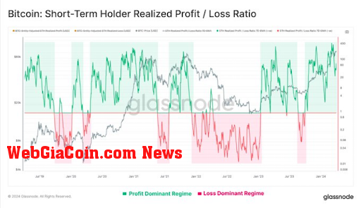 Bitcoin short term holders