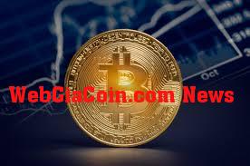 Những công ty giữ ngắn hạn bitcoin tiếp tục mua sắm 1,2 triệu BTC, cuối cùng thì ngành bán lẻ đã đến chưa?