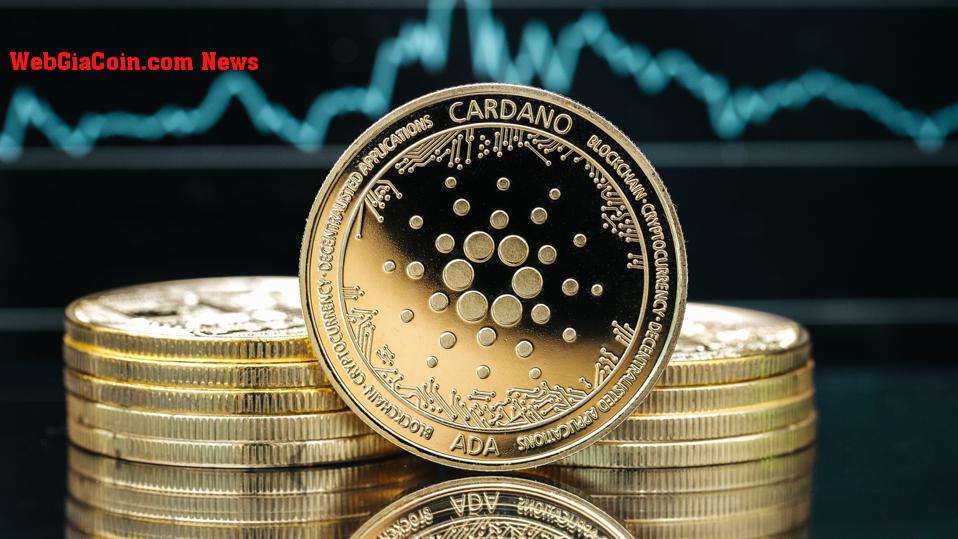Nhà phân tích tiền điện tử dự đoán giá ADA giảm xuống 0,34 USD, tại sao Người sáng lập Cardano lại tăng giá?