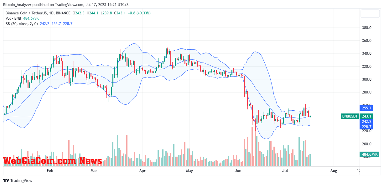 BNB price on July 17| Source: BNBUSDT on Binance, TradingView