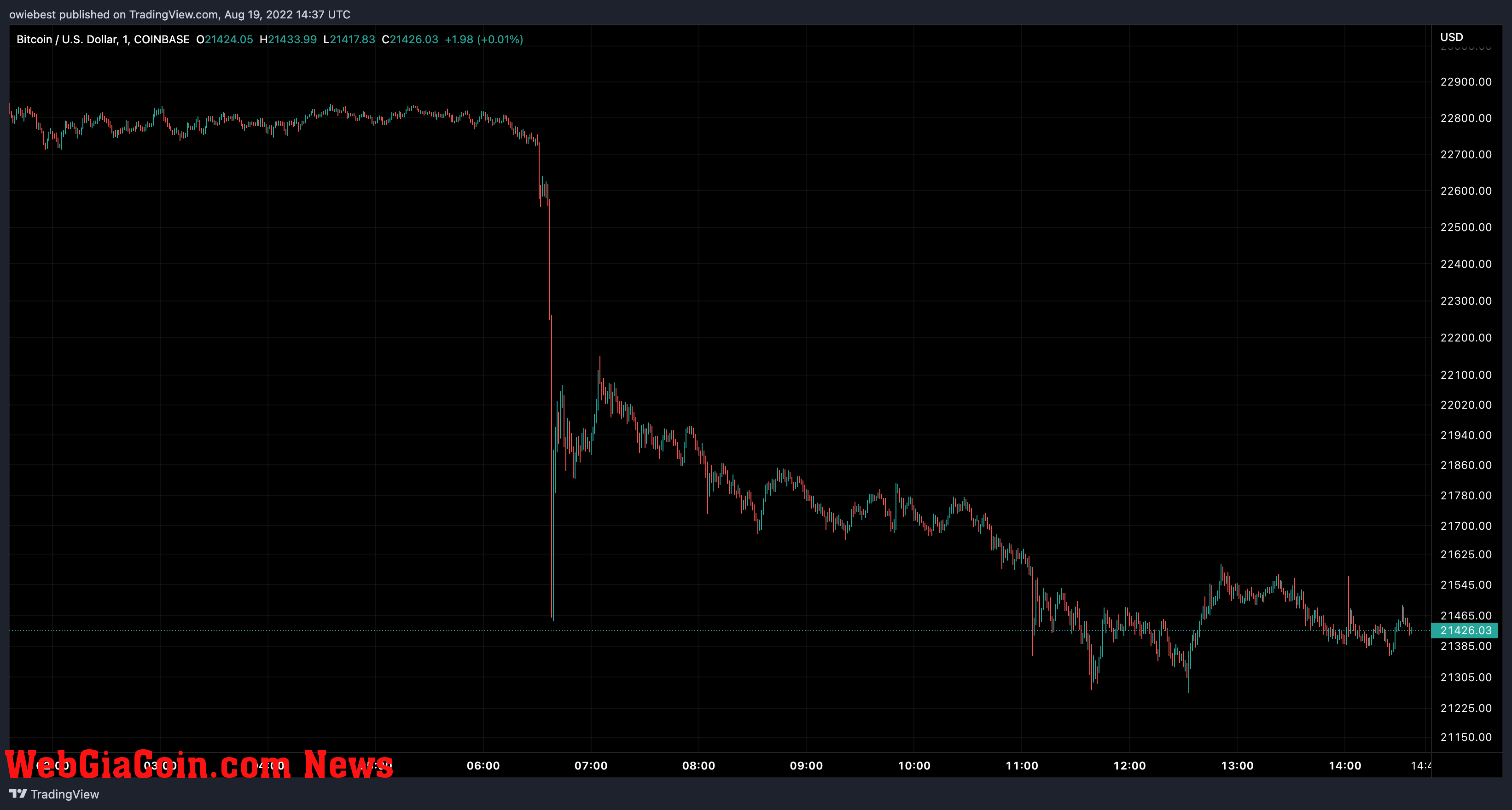 Bitcoin price chart from TradingView.com