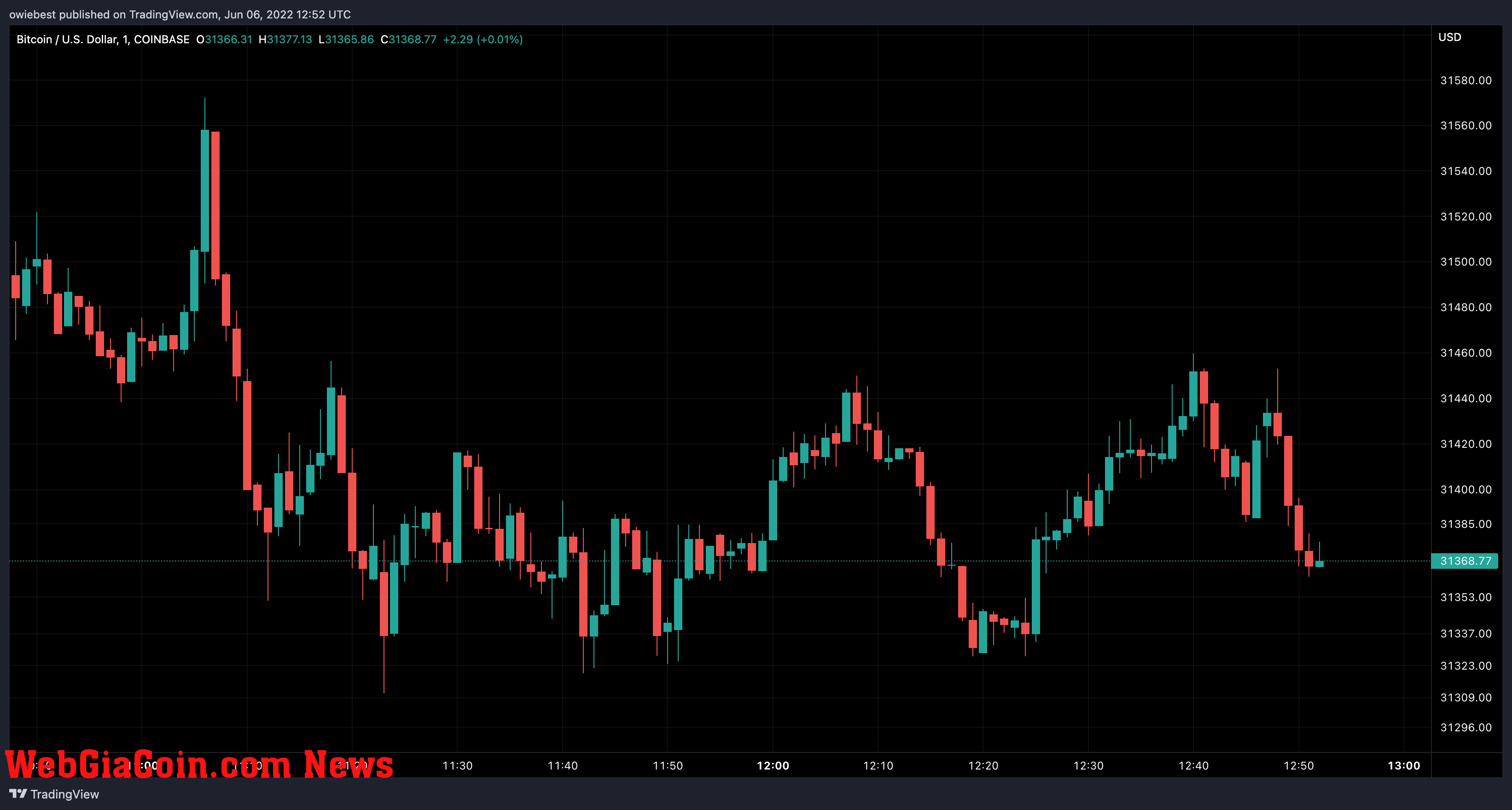 Bitcoin price chart from TradingView.com