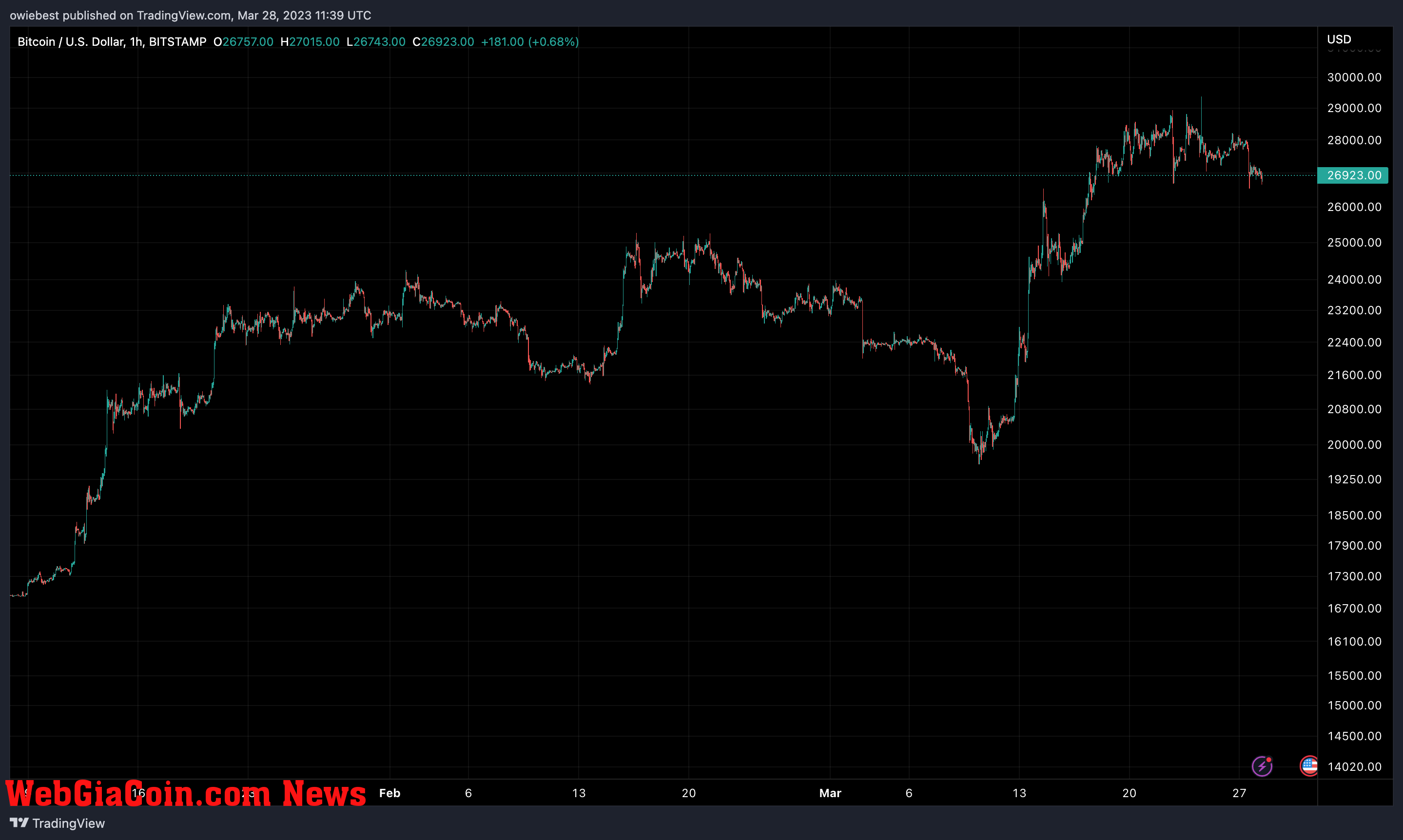 Bitcoin price chart from TradingView.com