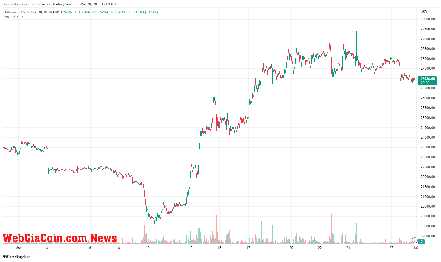 Bitcoin Price Chart