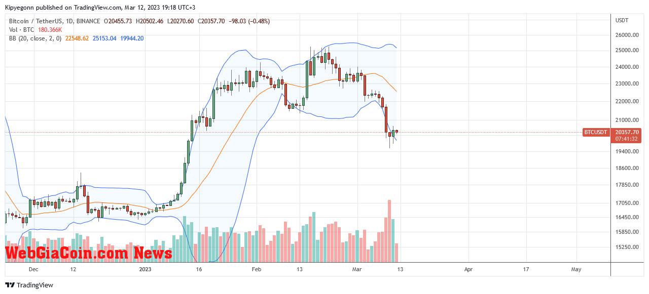 Bitcoin Price On March 12| Source: BTCUSDT On Binance, TradingView