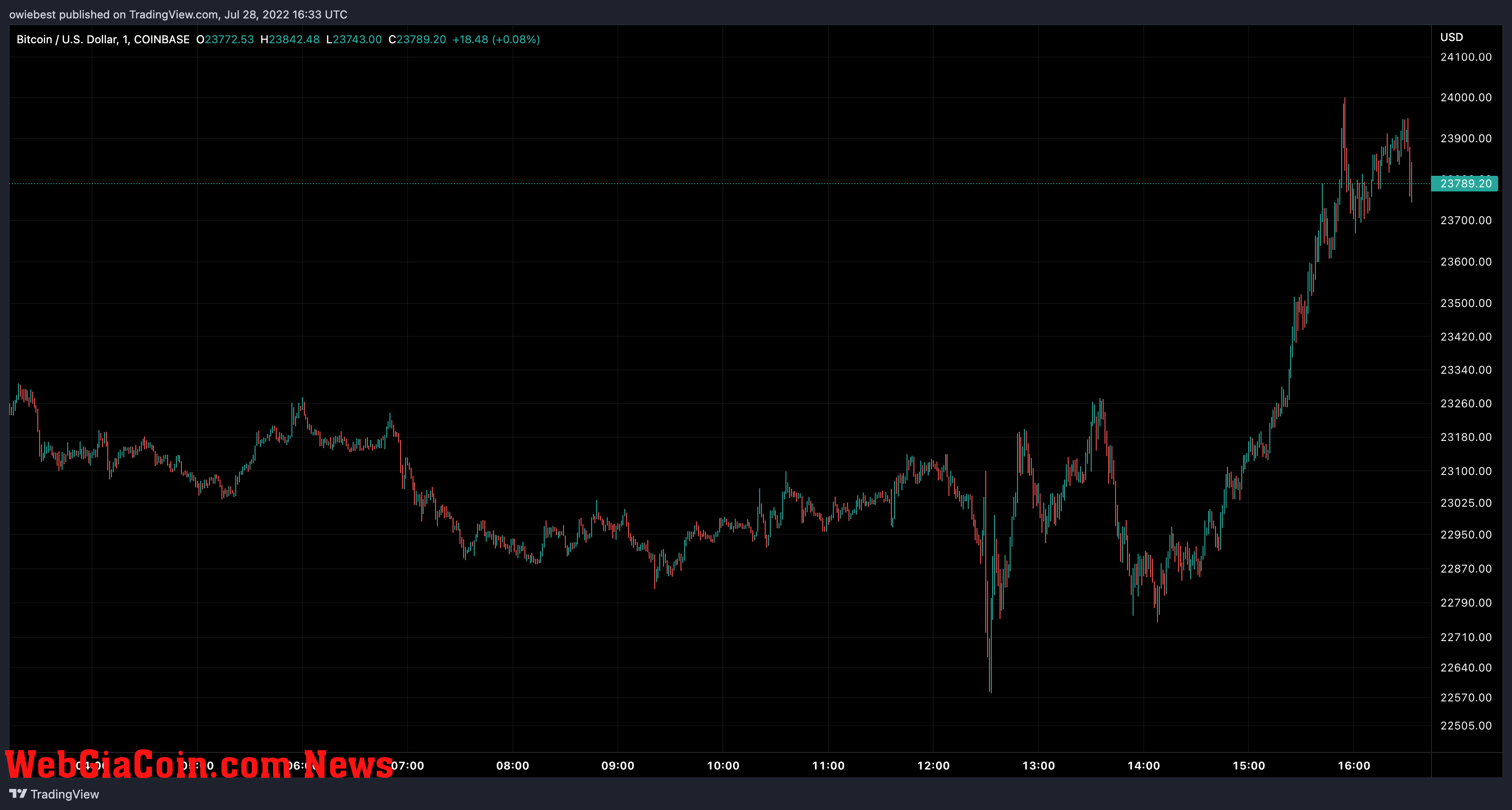 Bitcoin price chart from TradingView.com