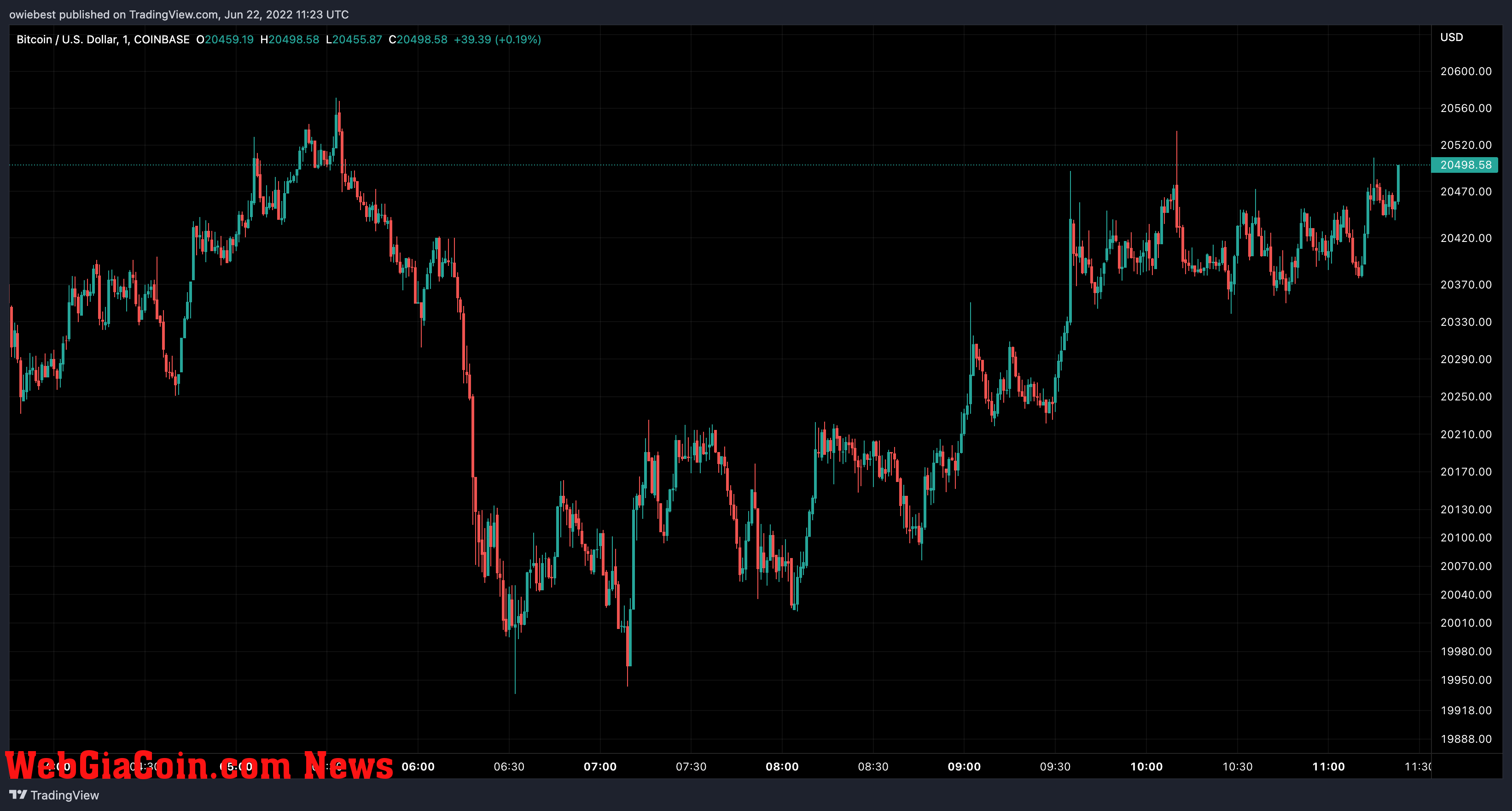 Bitcoin price chart from TradingView.com