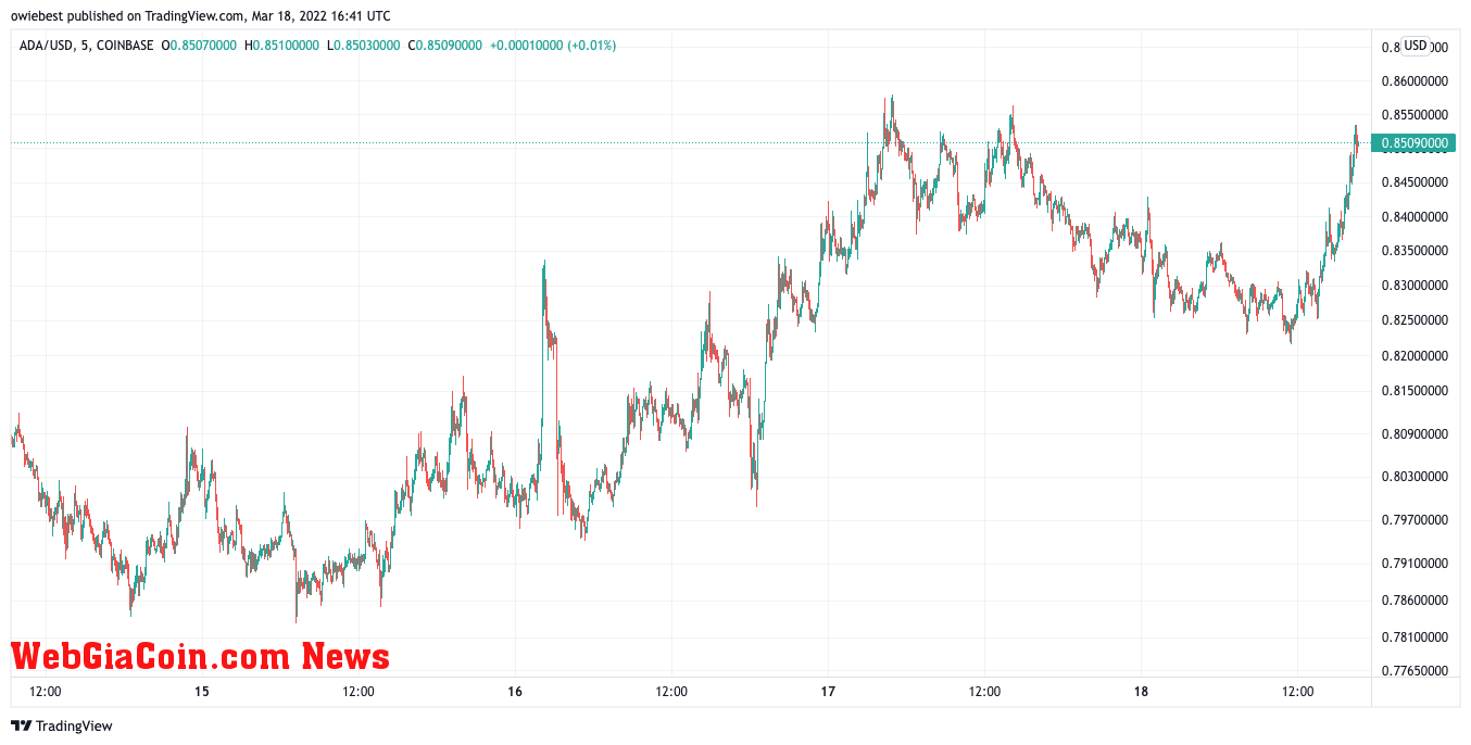 Cardano (ADA) price chart from TradingView.com