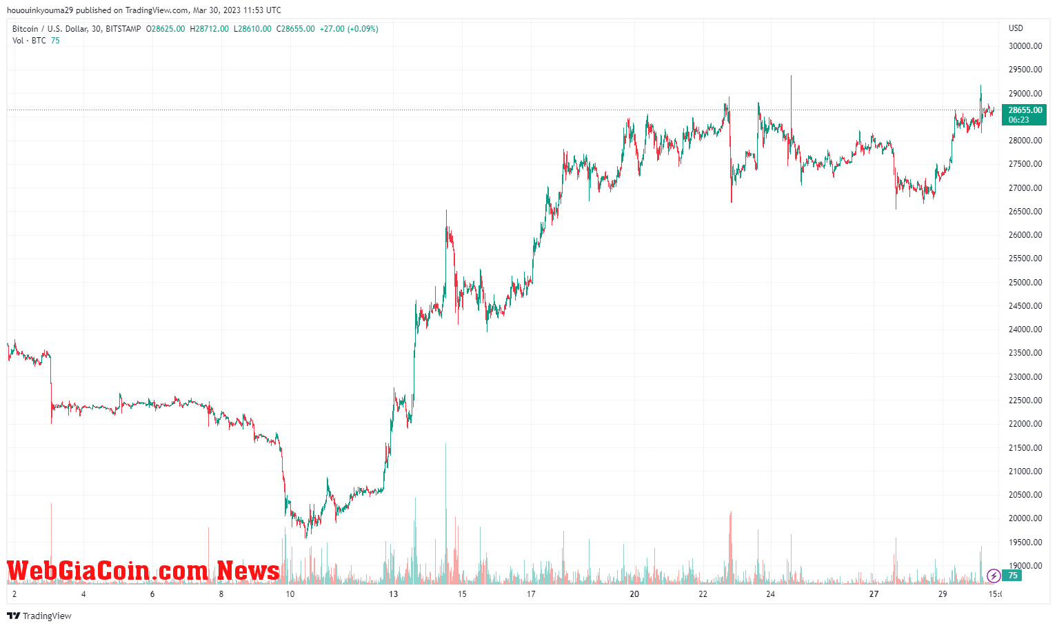 Bitcoin Price Chart