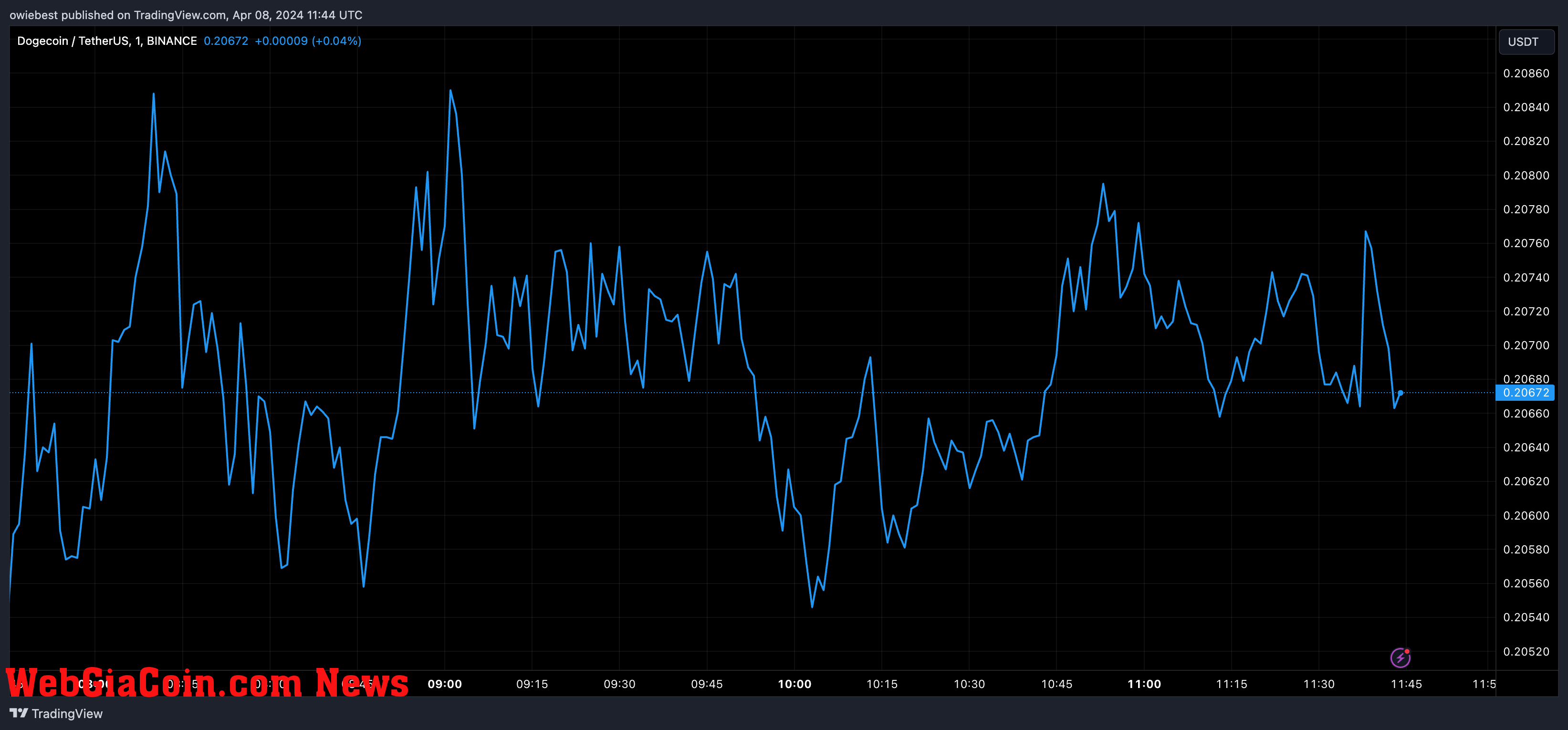 Dogecoin price chart from Tradingview.com (Bitcoin XRP)