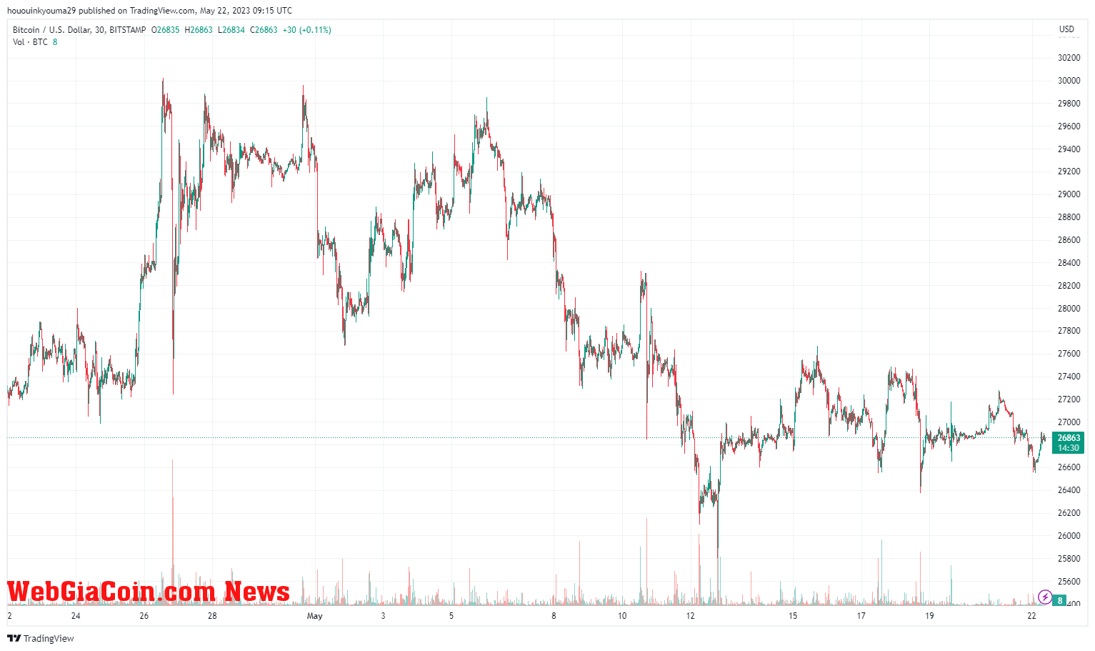 Bitcoin Price Chart