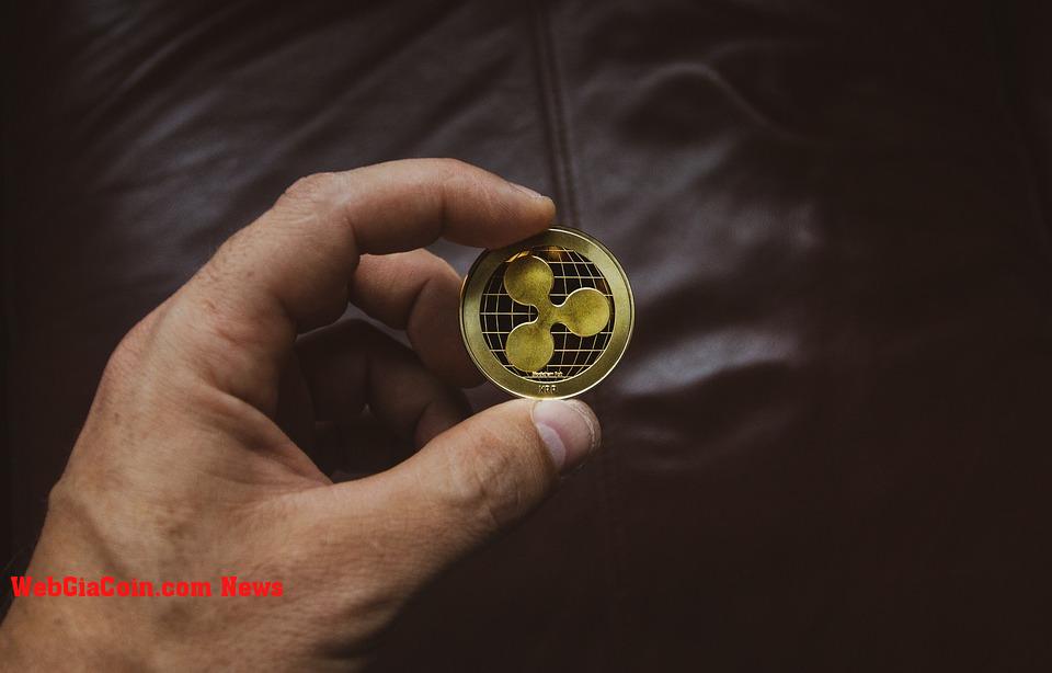 XRP: các nhà phân tích dự đoán mức tăng khổng lồ sau Bitcoin Halving