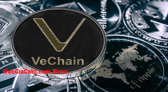 Dữ liệu lịch sử: Giá VeChain đã sẵn sàng cho một đột phá tăng giá?