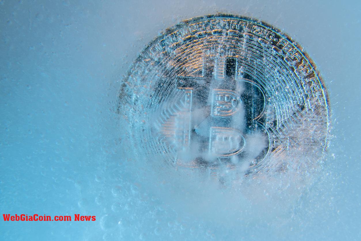 Bitcoin lên tới 455.000 USD: chuyên gia lặp lại mô hình Halving trước đó