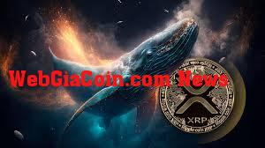 Ví XRP giữ ít nhất 1 triệu xu Gần đạt mức cao nhất mọi thời đại khi cảm xúc được cải thiện