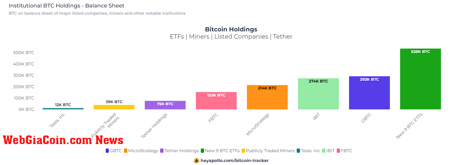 BTC Holdings: (Source: Hey Apollo)