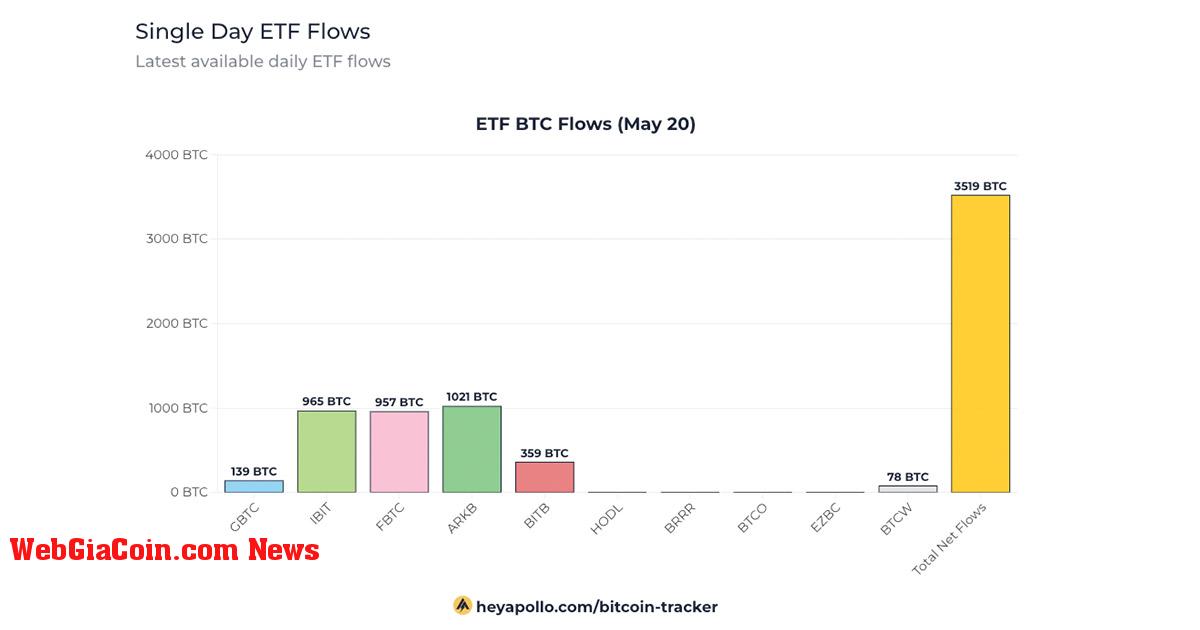 Bitcoin ETF chứng kiến dòng vốn 237 triệu USD vào ngày 20 tháng 5, dẫn đầu là Ark và BlackRock