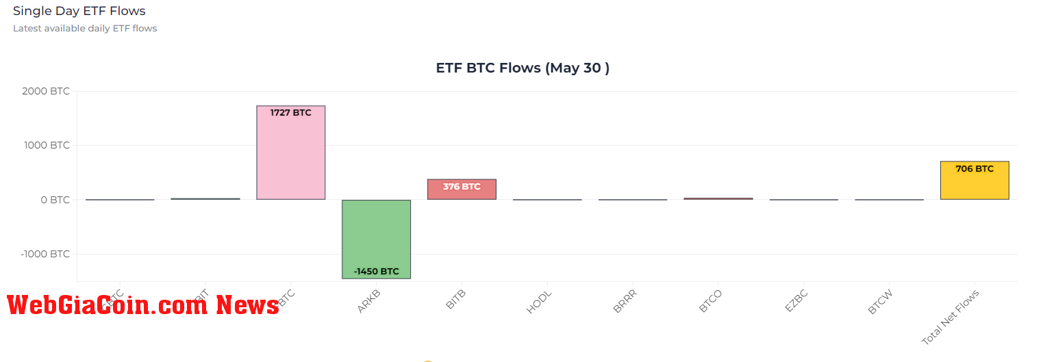 ETF BTC Flows: (May 30): (Source: Heyapollo)