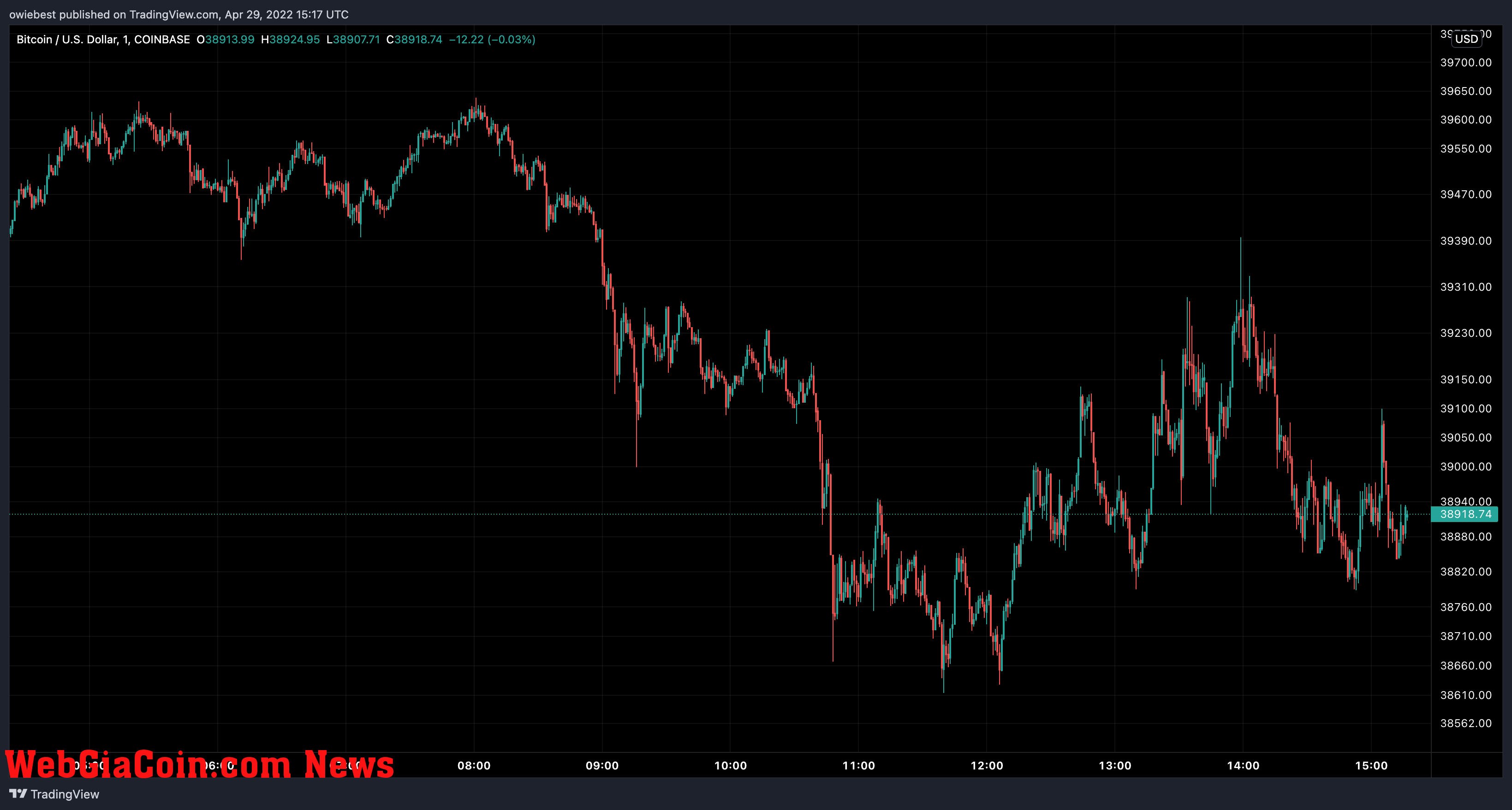 Bitcoin price chart from TradingView.com