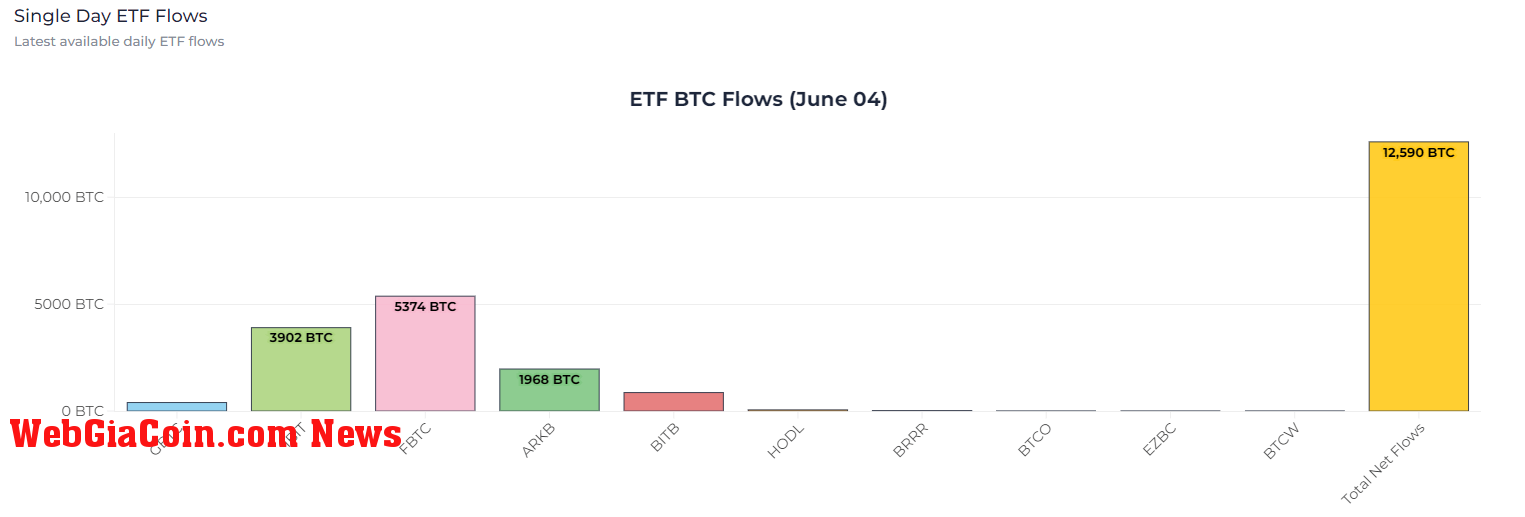 ETF Flows: (Source: heyapollo)