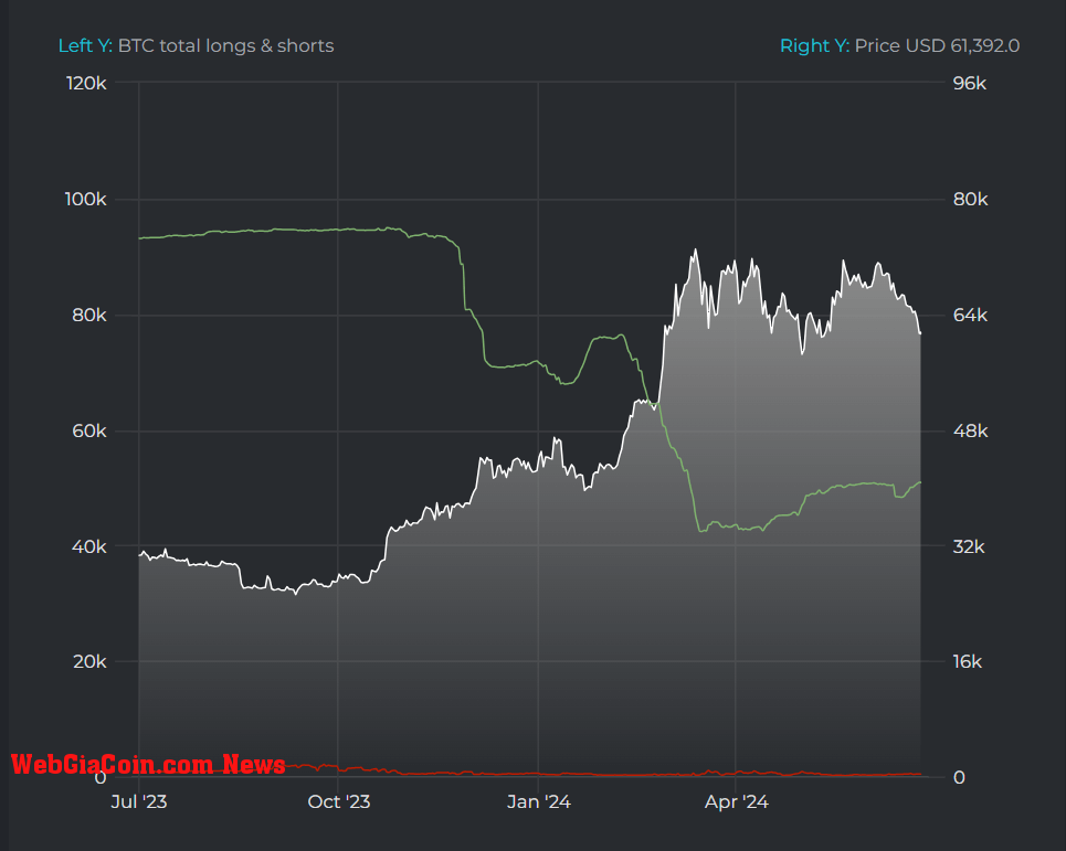 Bitcoin margin data: (Source: Datamish)