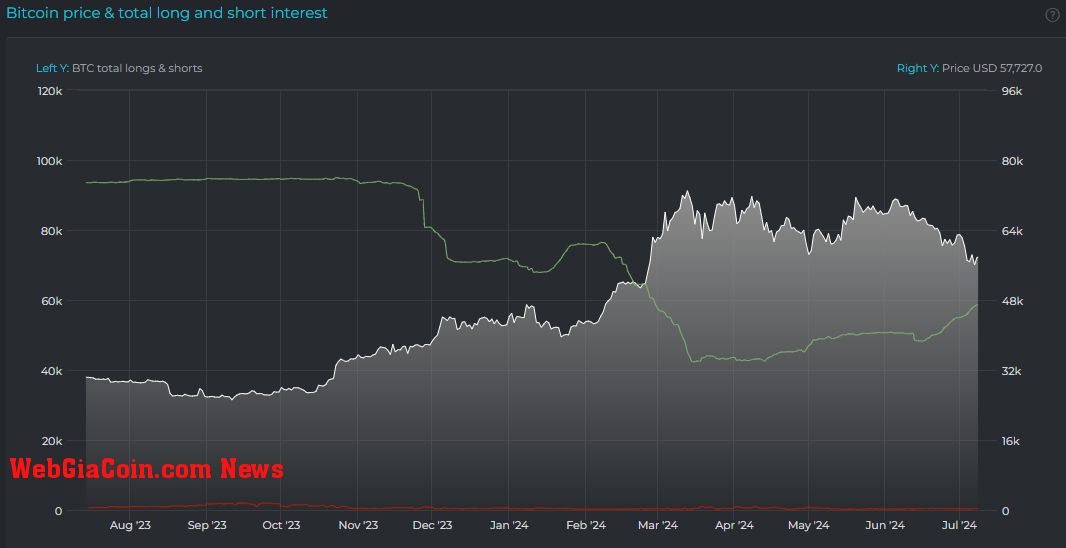 Bitfinex Whales: (Source: Datamish)