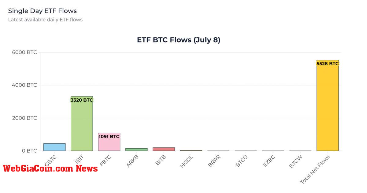 Bitcoin ETF chứng kiến dòng vốn vào lớn nhất kể từ ngày 5 tháng 6 ở mức 294 triệu USD