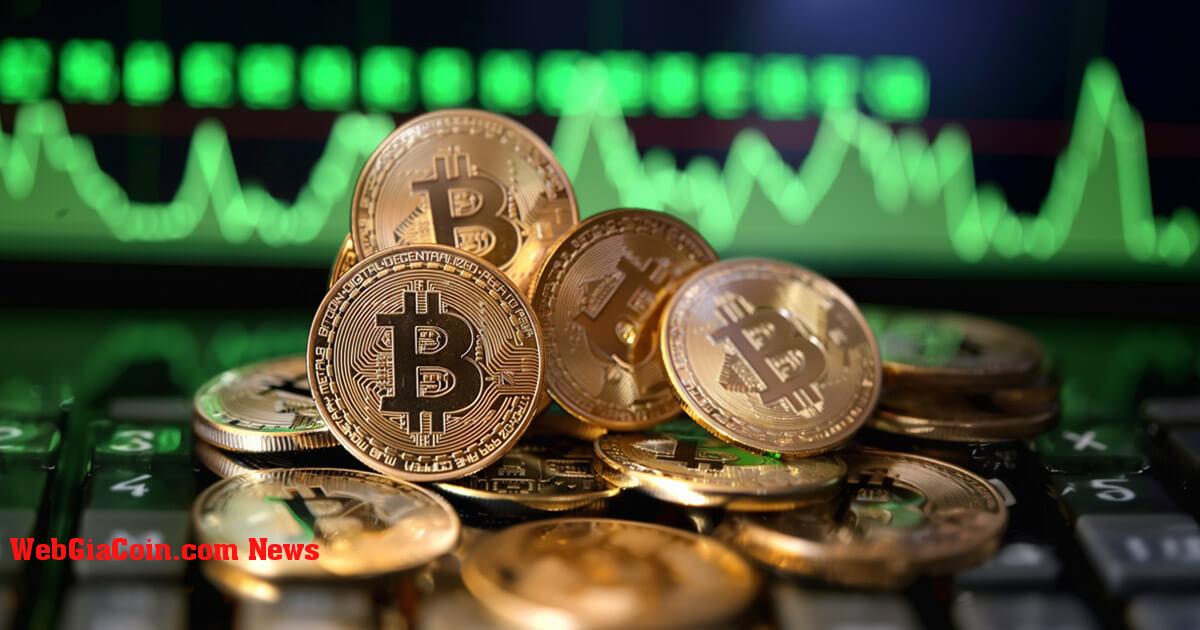 Các công cụ giữ ngắn hạn phục hồi lợi nhuận khi 87% nguồn cung Bitcoin hiện có lãi