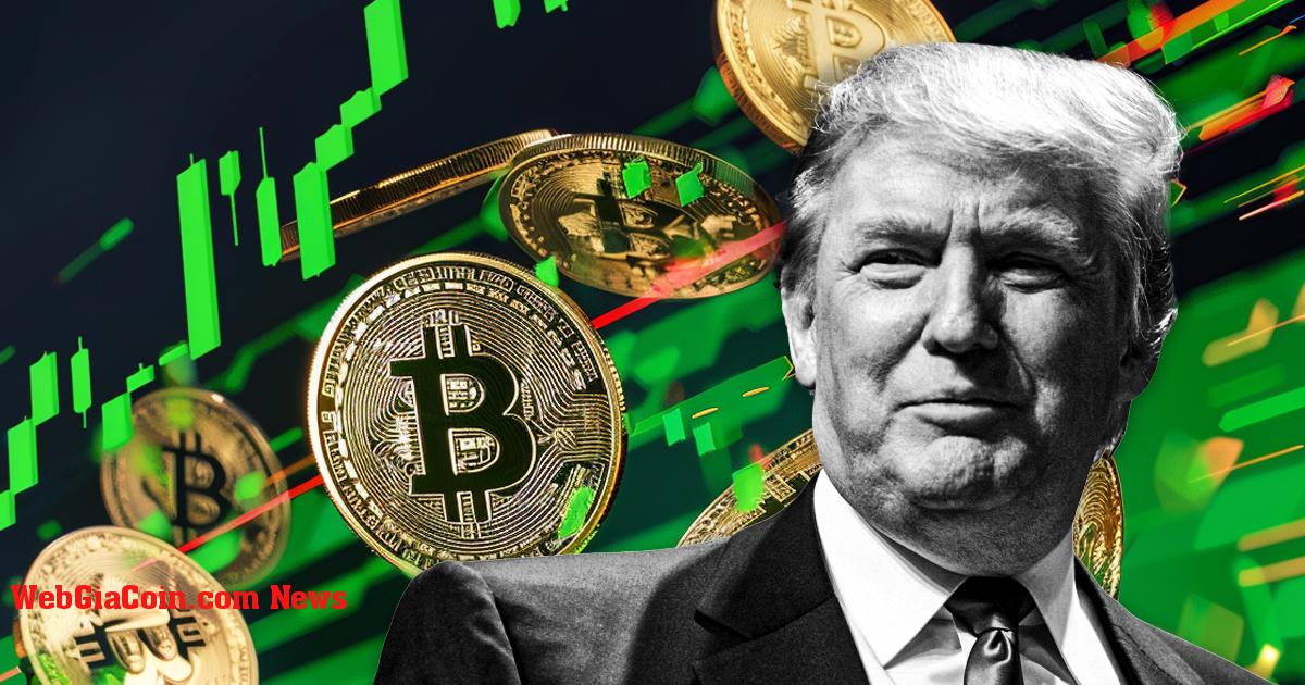 Báo cáo của AMBCrypto tiết lộ việc Donald Trump tái đắc cử có thể đẩy Bitcoin lên 80 nghìn đô la