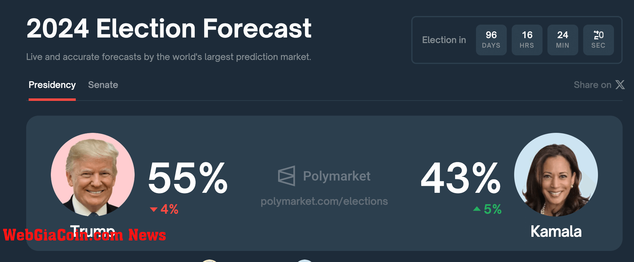 Polymarket odds for US elections 2024 (Polymarket)