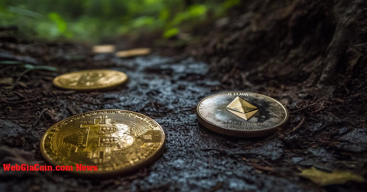 Các nhà phân tích tin rằng Bitcoin, Ethereum có thể tiếp tục giảm trong ngắn hạn