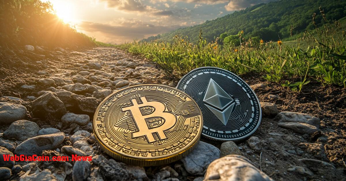 Bitcoin ETF ghi nhận ngày giao dịch thứ sáu liên tiếp có dòng tiền chảy vào trong bối cảnh BlackRock biến động