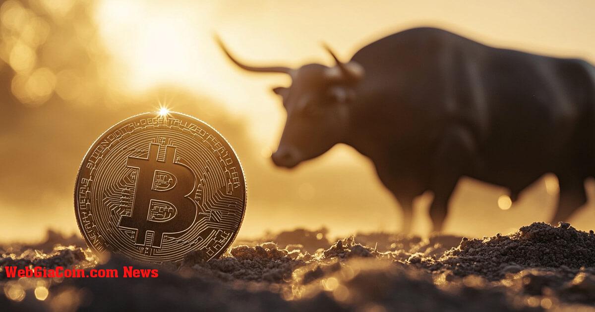 Bitwise CIO cho biết nhận xét của Powell có thể châm ngòi cho một đợt tăng giá Bitcoin mới