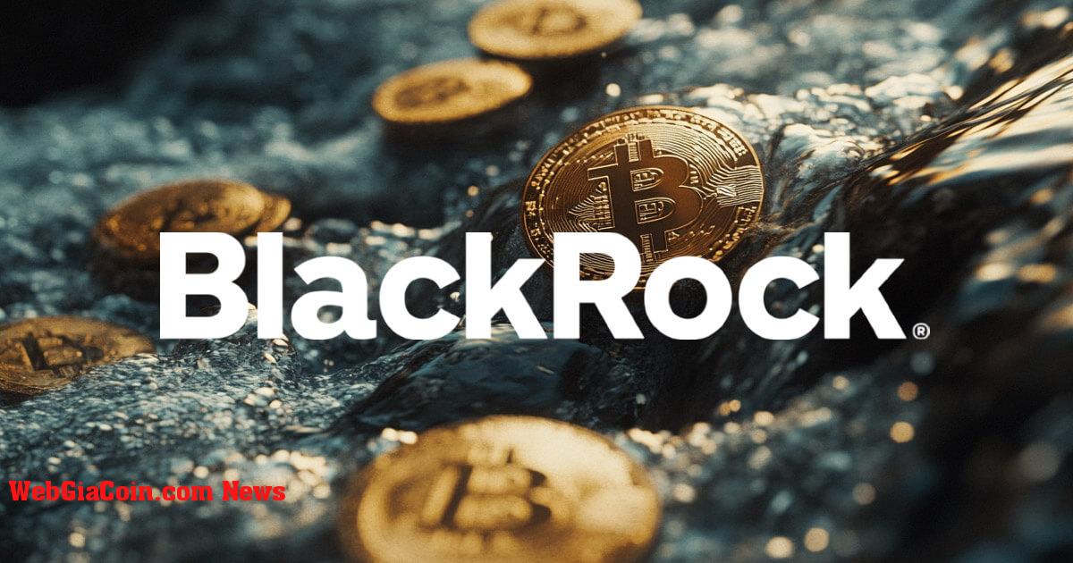 BlackRock IBIT chứng kiến dòng tiền chảy ra lần thứ hai kể từ khi ra mắt