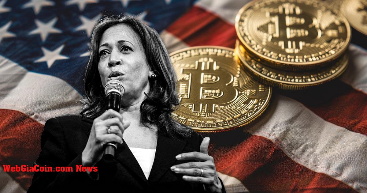 Kamala Harris chuyển sang Coinbase quyên góp tiền cho chiến dịch tiền điện tử, CFO tiết lộ