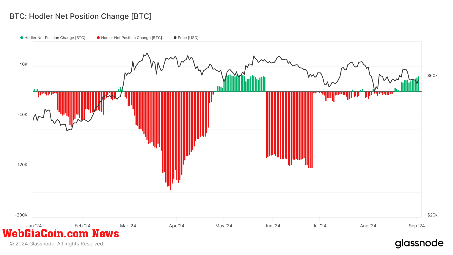 Sự thay đổi vị thế ròng của người nắm giữ Bitcoin năm 2024 phản ánh các chu kỳ lịch sử, báo hiệu khả năng ổn định giá