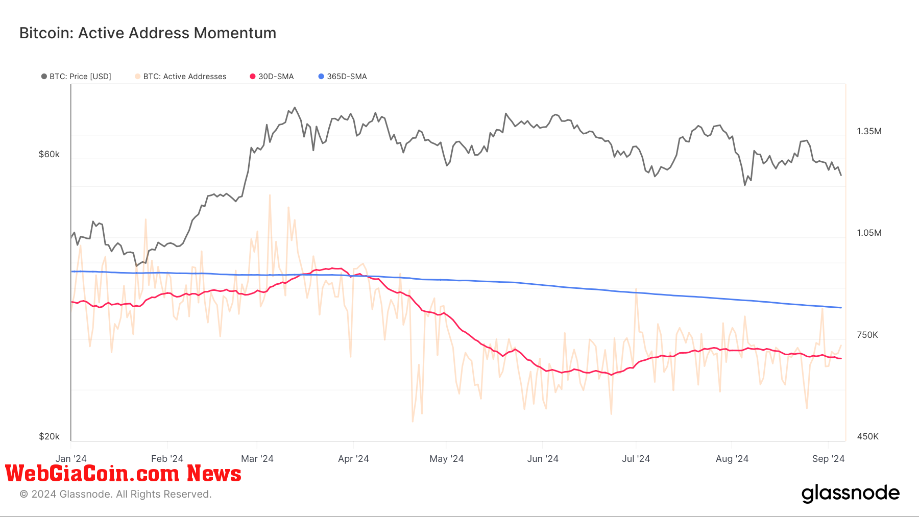 Bitcoin: Active Address Momentum: (Source: Glassnode)