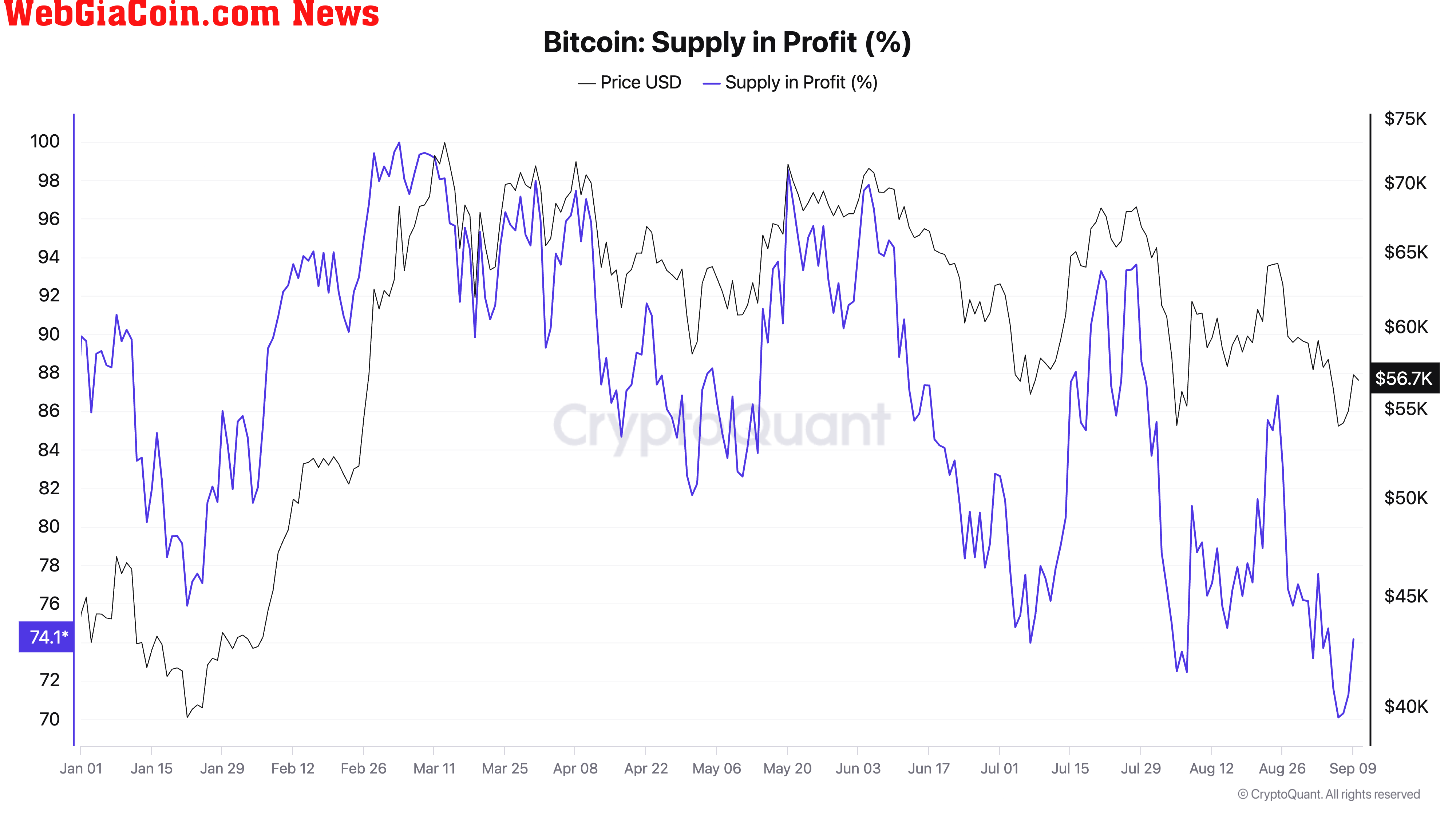 Bitcoin Supply in Profit ytd