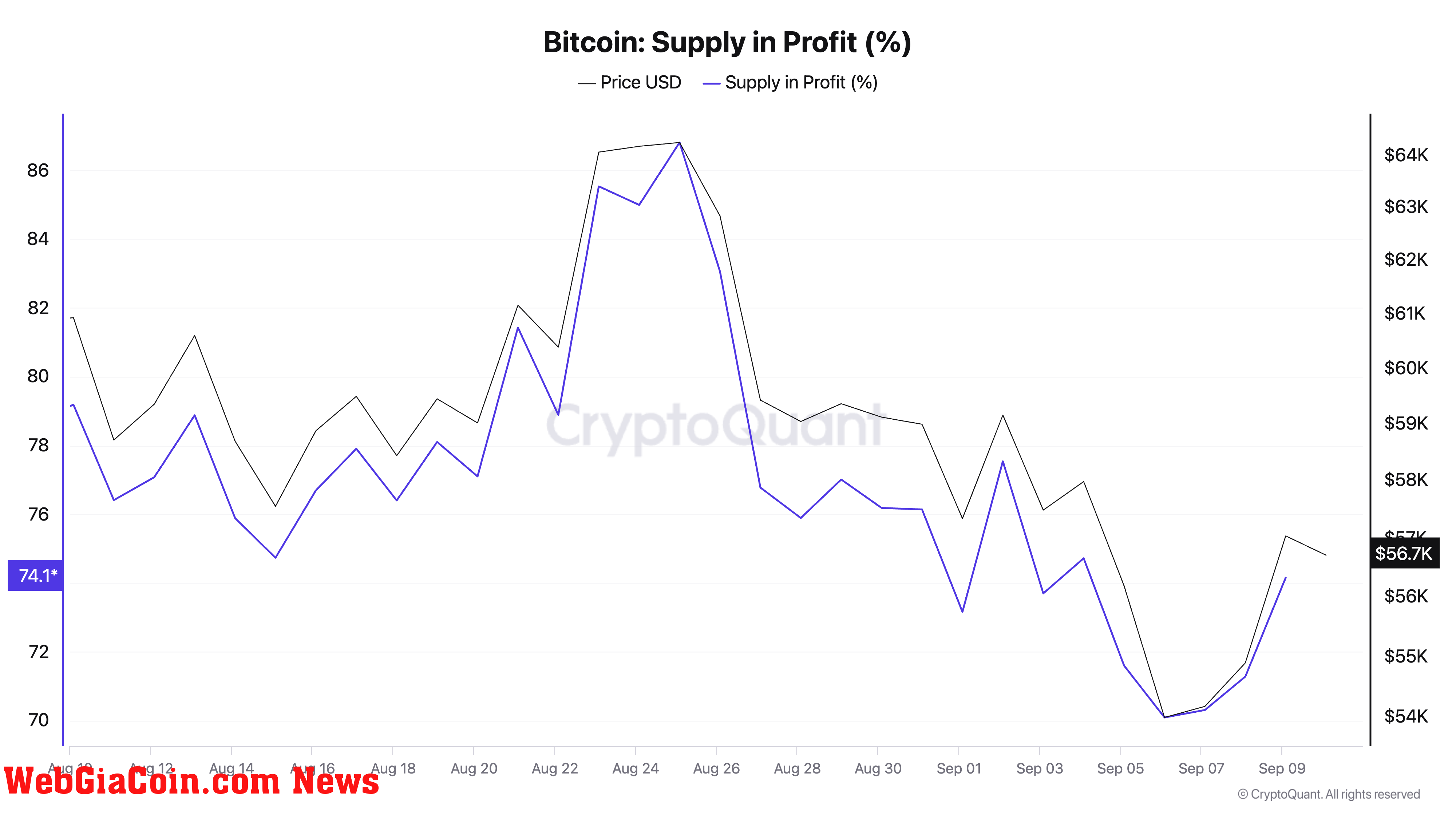 Bitcoin Supply in Profit