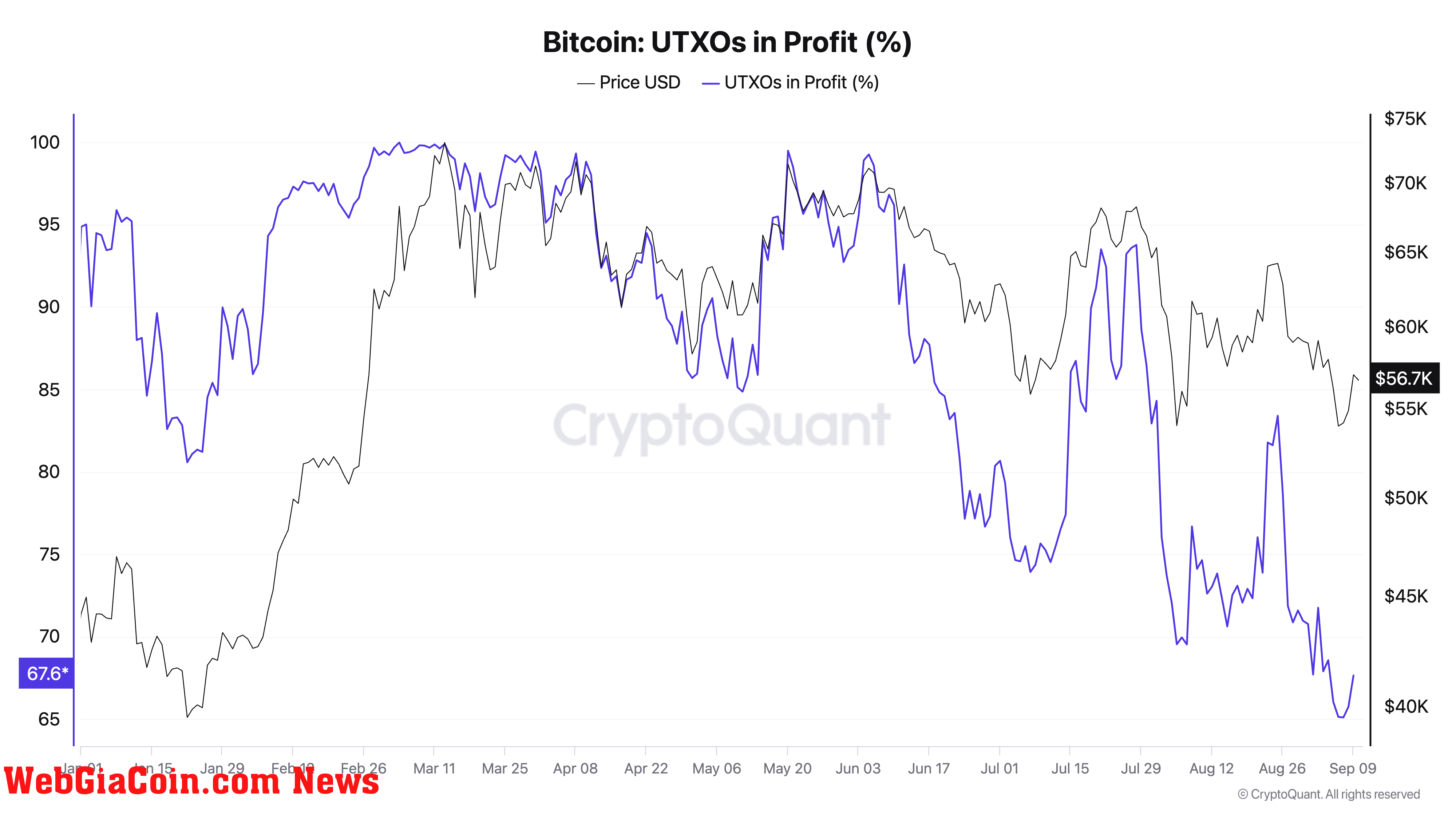 Bitcoin UTXOs in Profit ytd